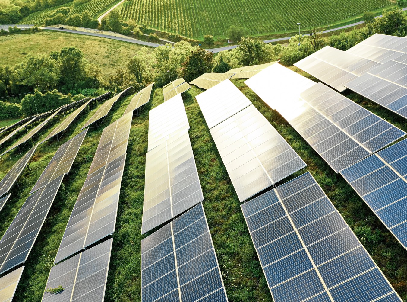 Solar park with grass everywhere