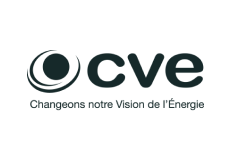 CVE Logo
