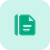 Icon Green Document