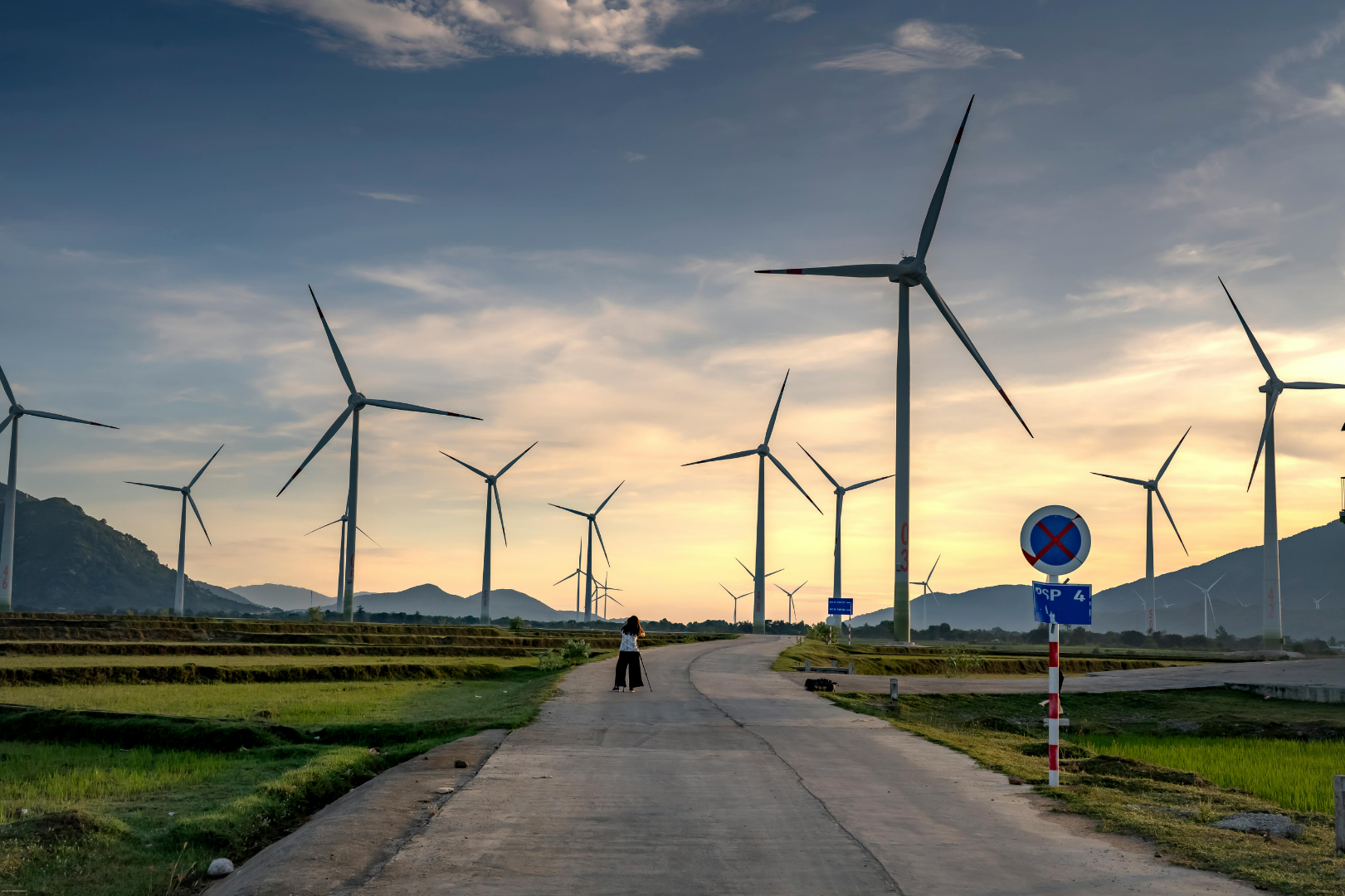Wind Farm in landscape and a women taking a picture