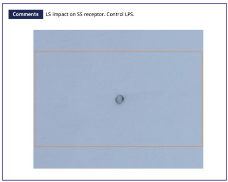 Image de l'impact de LS sur le récepteur SS